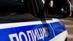 Амурскими полицейскими пресечена деятельность организованной преступной группы "черных лесорубов"