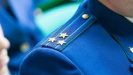 Трое жителей Свободненского района осуждены за незаконную рубку леса